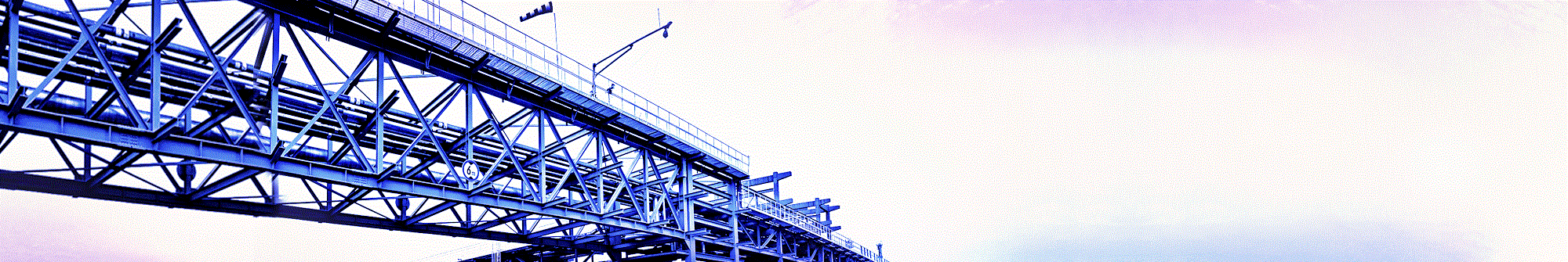 Our proven strengths in supporting Japan's manufacturing industries  - Ever since its days as Toyo Engineering, Real  Partner has supported business innovation for the manufacturers that form the core of“manufacturing Japan.” Over the last quarter-century, we ha